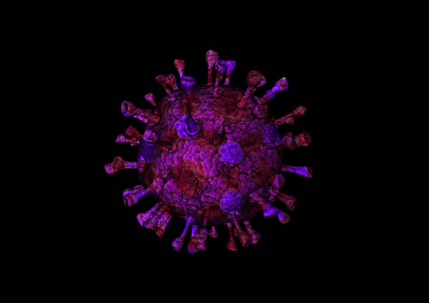 current cases of coronavirus in the usa - cdc hep b vaccine info sheet
